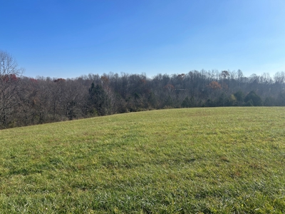 1.62+/- Acre Building Lot - Utilities Avail. - Liberty, Ky. - image 2