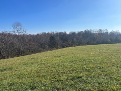 1.62+/- Acre Building Lot - Utilities Avail. - Liberty, Ky. - image 1