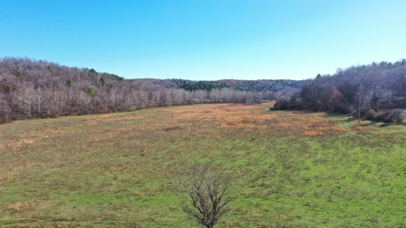 Farm and Home for Sale in Bunker, Missouri - image 1