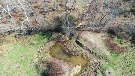 Farm and Home for Sale in Bunker, Missouri - image 13