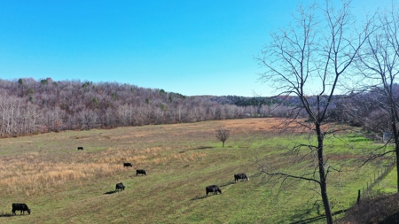 Farm and Home for Sale in Bunker, Missouri - image 4
