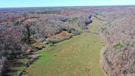 Farm and Home for Sale in Bunker, Missouri - image 9