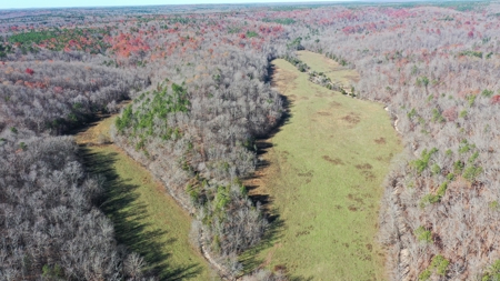 Farm and Home for Sale in Bunker, Missouri - image 8