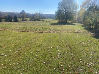 Lake View Home In Tn For Sale W/ No Restrictions - image 23