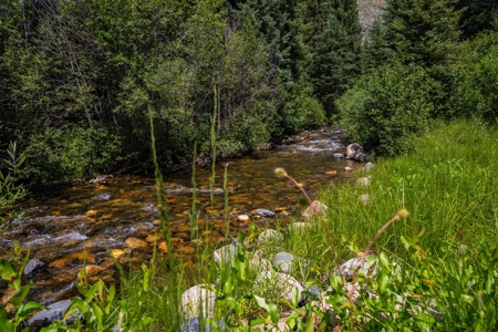 Colorado Creek Front Mountain Log Home - image 34