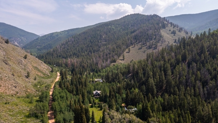 Colorado Creek Front Mountain Log Home - image 9
