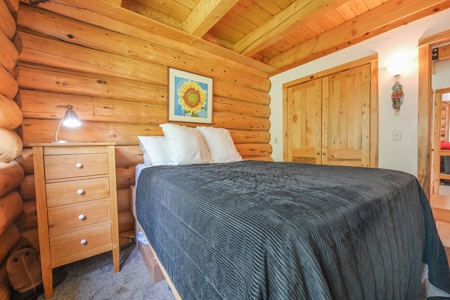Colorado Creek Front Mountain Log Home - image 23