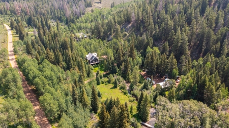 Colorado Creek Front Mountain Log Home - image 8