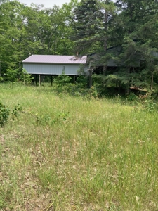 Ready to build on vacant land near Carp Lake - image 1
