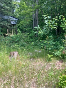 Ready to build on vacant land near Carp Lake - image 4