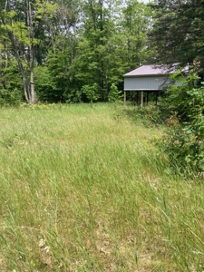 Ready to build on vacant land near Carp Lake - image 2