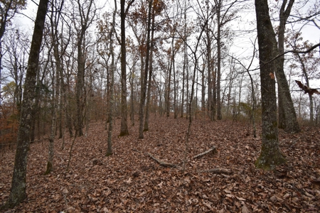 Land for Sale in Perry County, Tennessee - image 6