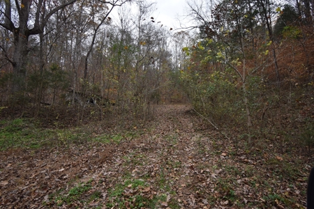 Land for Sale in Perry County, Tennessee - image 1