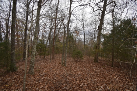 Land for Sale in Perry County, Tennessee - image 5