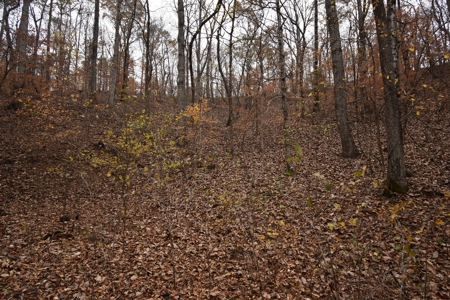 Land for Sale in Perry County, Tennessee - image 10