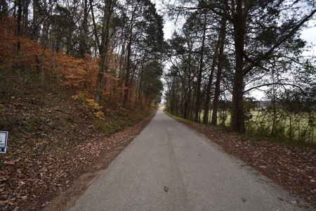 Land for Sale in Perry County, Tennessee - image 2