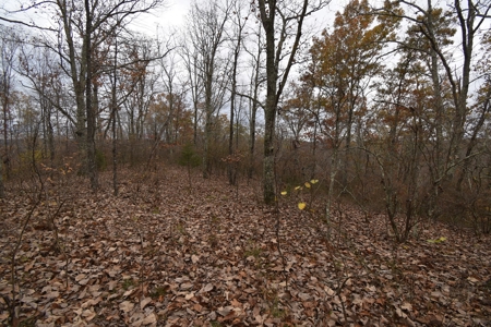 Land for Sale in Perry County, Tennessee - image 4