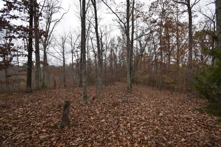Land for Sale in Perry County, Tennessee - image 8