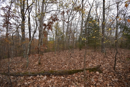 Land for Sale in Perry County, Tennessee - image 7