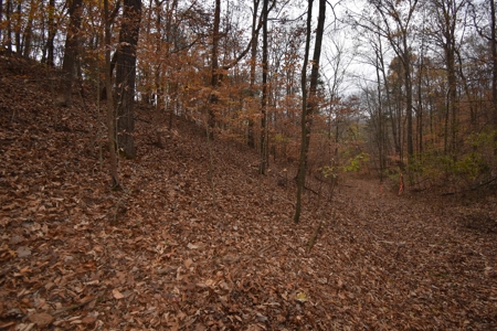 Land for Sale in Perry County, Tennessee - image 12
