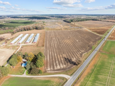 Vacant Lot for Sale in Pinetops, NC - 108 AC - image 5