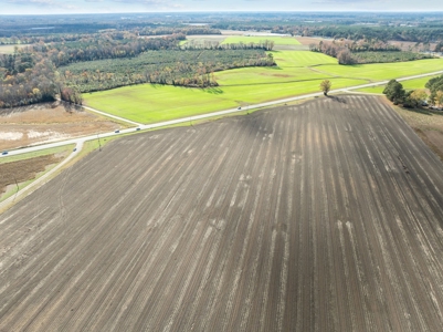Vacant Lot for Sale in Pinetops, NC - 108 AC - image 8