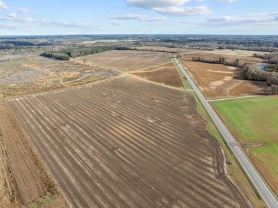 Vacant Lot for Sale in Pinetops, NC - 108 AC - image 6