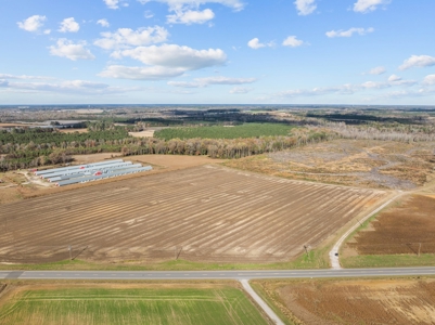Vacant Lot for Sale in Pinetops, NC - 108 AC - image 3