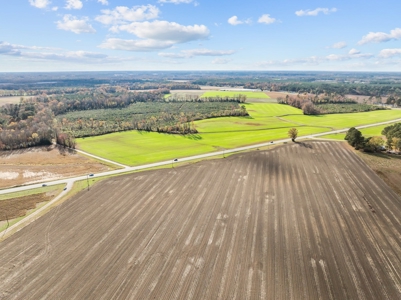 Vacant Lot for Sale in Pinetops, NC - 108 AC - image 7