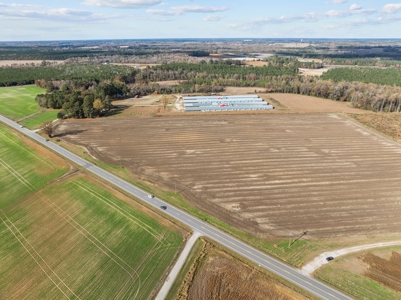 Vacant Lot for Sale in Pinetops, NC - 108 AC - image 2