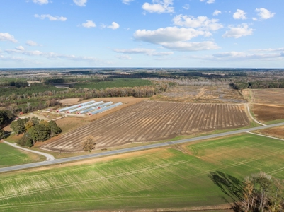 Vacant Lot for Sale in Pinetops, NC - 108 AC - image 4