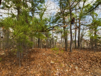 Private 40 Ac Newton County Land For Sale Hunting&Recreation - image 14
