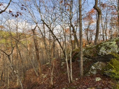 Private 40 Ac Newton County Land For Sale Hunting&Recreation - image 12