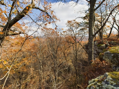Private 40 Ac Newton County Land For Sale Hunting&Recreation - image 11