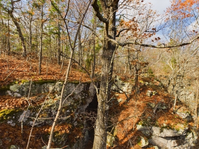 Private 40 Ac Newton County Land For Sale Hunting&Recreation - image 3