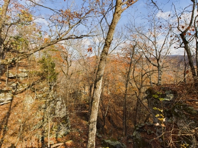 Private 40 Ac Newton County Land For Sale Hunting&Recreation - image 8