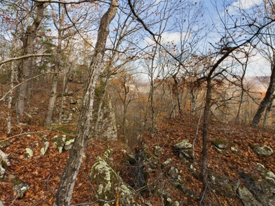 Private 40 Ac Newton County Land For Sale Hunting&Recreation - image 5