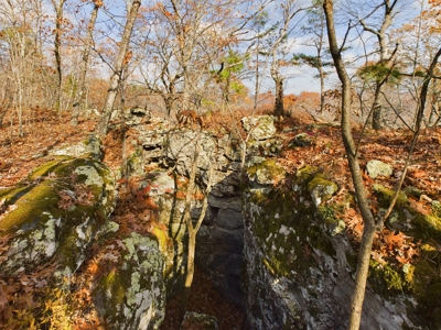 Private 40 Ac Newton County Land For Sale Hunting&Recreation - image 9