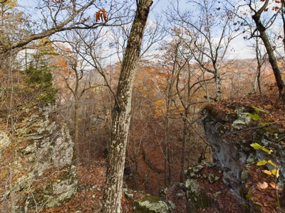 Private 40 Ac Newton County Land For Sale Hunting&Recreation - image 7