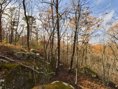 Private 40 Ac Newton County Land For Sale Hunting&Recreation - image 13