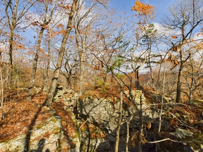 Private 40 Ac Newton County Land For Sale Hunting&Recreation - image 10