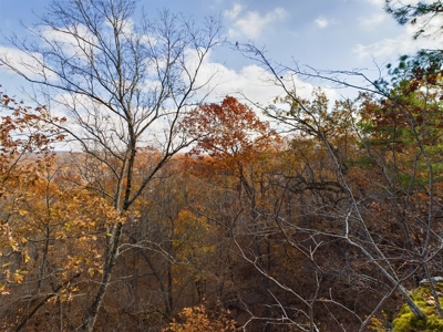 Private 40 Ac Newton County Land For Sale Hunting&Recreation - image 2