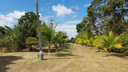 1.4 hectares lot with a country house in Rio Hato, Panamá - image 18