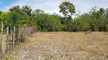 1.4 hectares lot with a country house in Rio Hato, Panamá - image 20