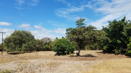1.4 hectares lot with a country house in Rio Hato, Panamá - image 25