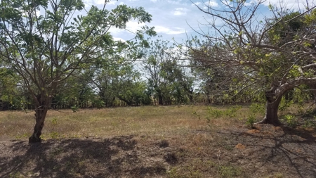 1.4 hectares lot with a country house in Rio Hato, Panamá - image 21