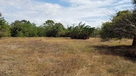 1.4 hectares lot with a country house in Rio Hato, Panamá - image 19