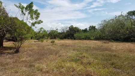 1.4 hectares lot with a country house in Rio Hato, Panamá - image 22