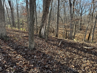 25 acres Bentonsport, IA FOR SALE! - image 6