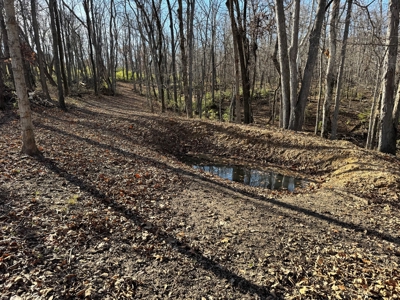 25 acres Bentonsport, IA FOR SALE! - image 11